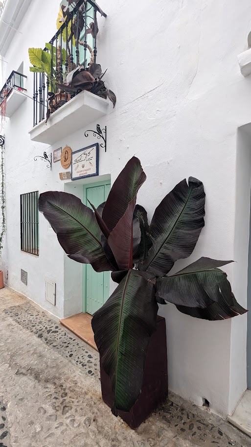Nerja and surrounding Costa Tropical landscape
